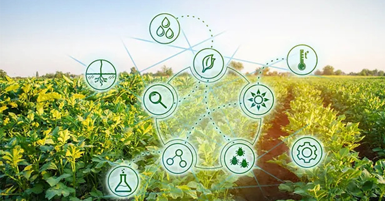 Agriculture